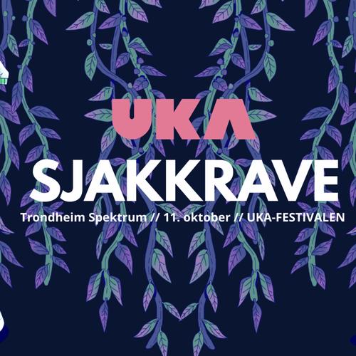 Arrangementside: Sjakkrave- Boiler room edition