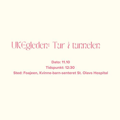 Arrangementside: UKEgleden: Tur i Tunnelen