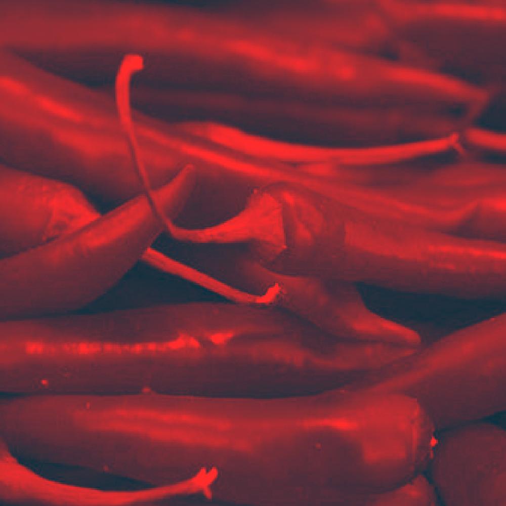 Chilispisekonkurranse